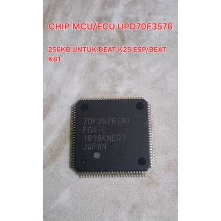 CHIP 70F3576